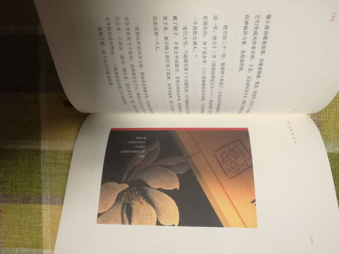 制作非常精美，比以前的作品少了一些花哨的东西，更加沉静，很喜欢。