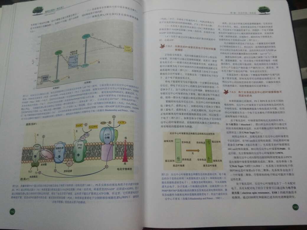 很不错，第一次买这么贵的书。。。感觉棒棒哒