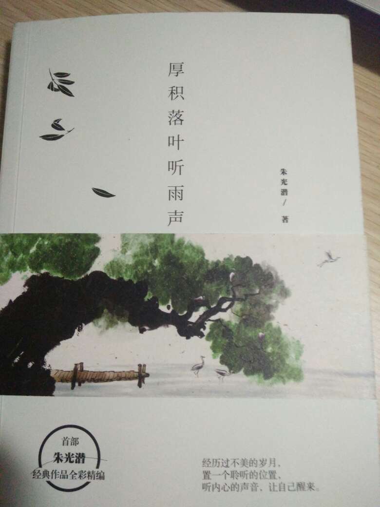 很喜欢这本散文，净化我的心