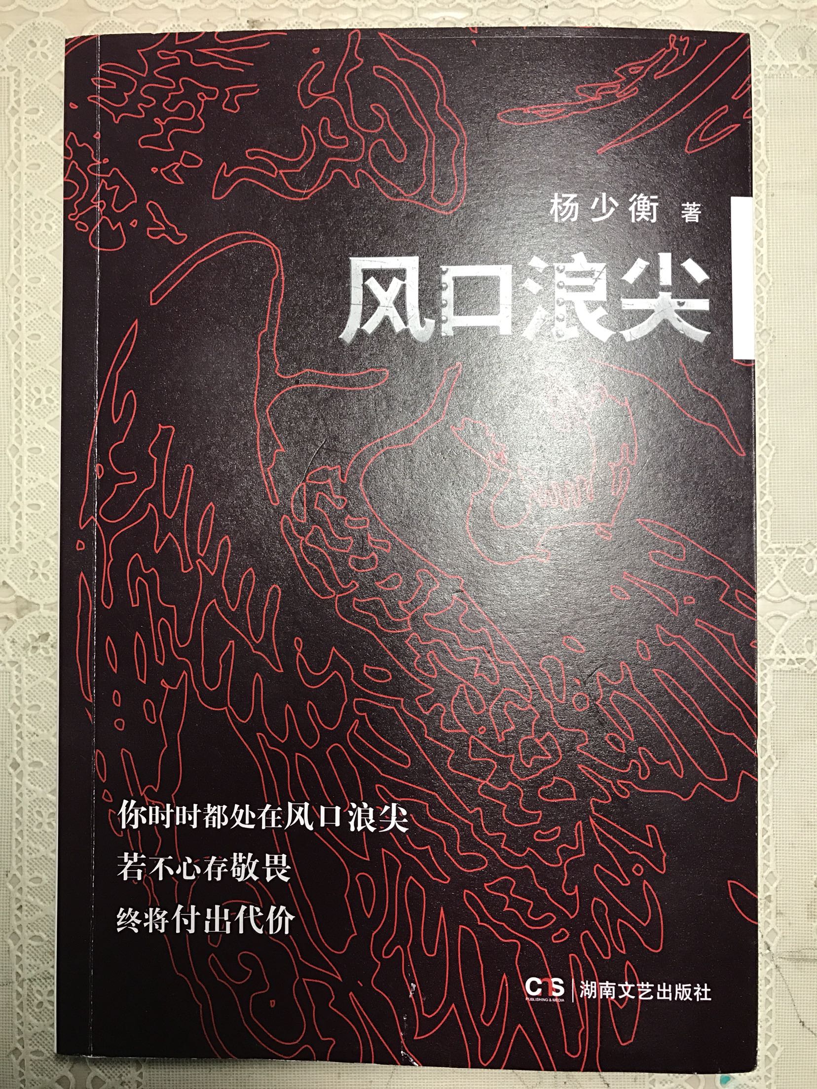 官场小说，我最爱看的就是杨少衡的作品，这么多年，每部必收。《风口浪尖》写的也不错，江源马帮四个人的性格与命运，写的让人感叹！