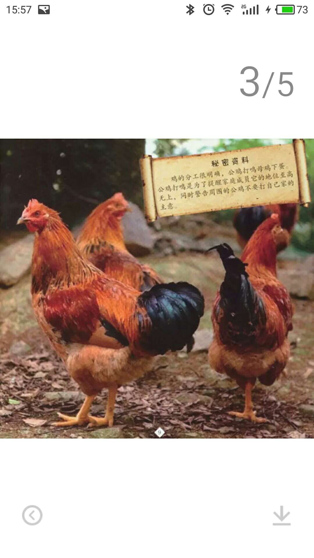 挺好的，喜欢