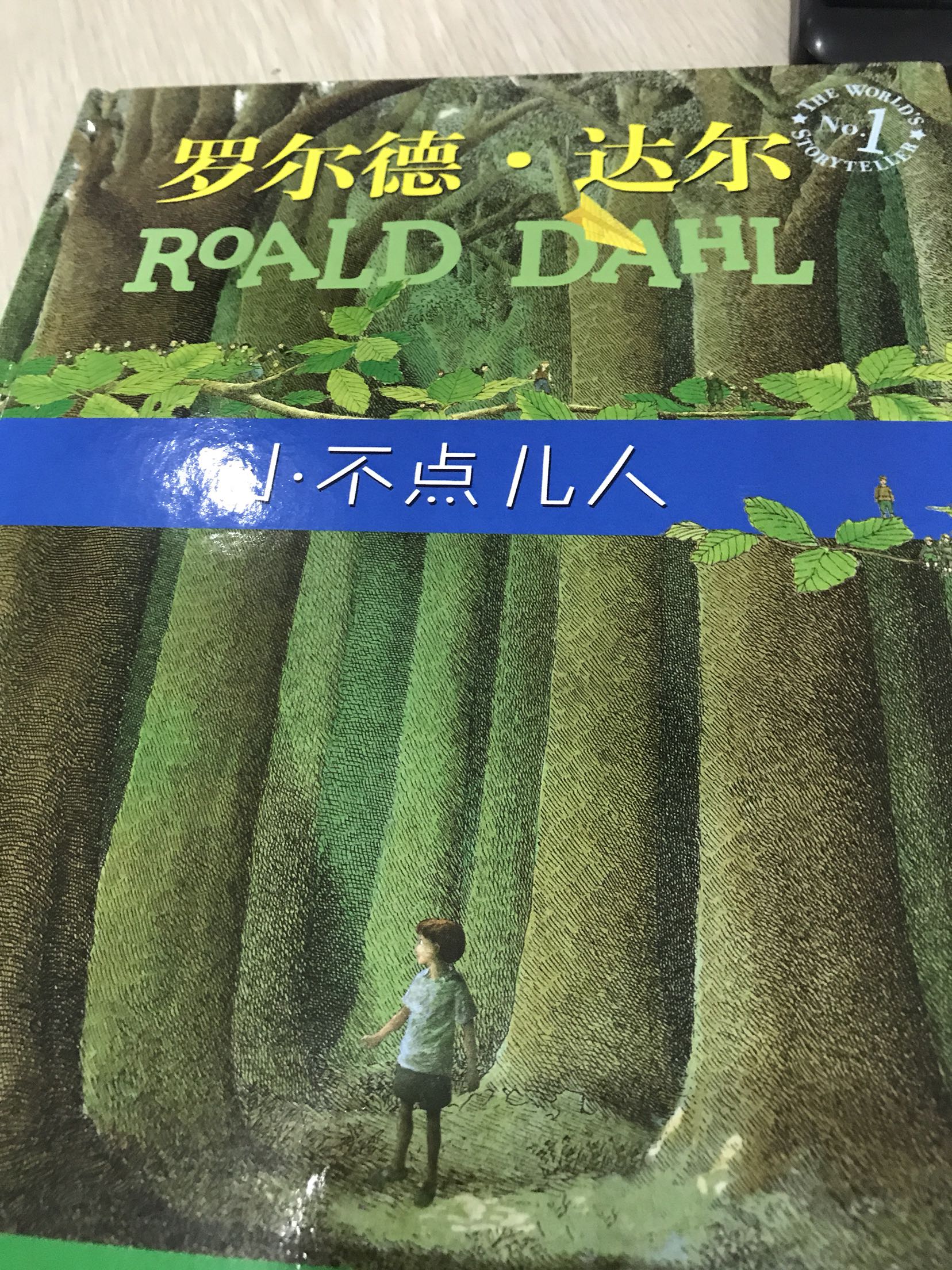 这是单独买的，不同套装里的书，这本书的插画相当精美，很有特色，让我们一起跟着比利去大森林探险吧！
