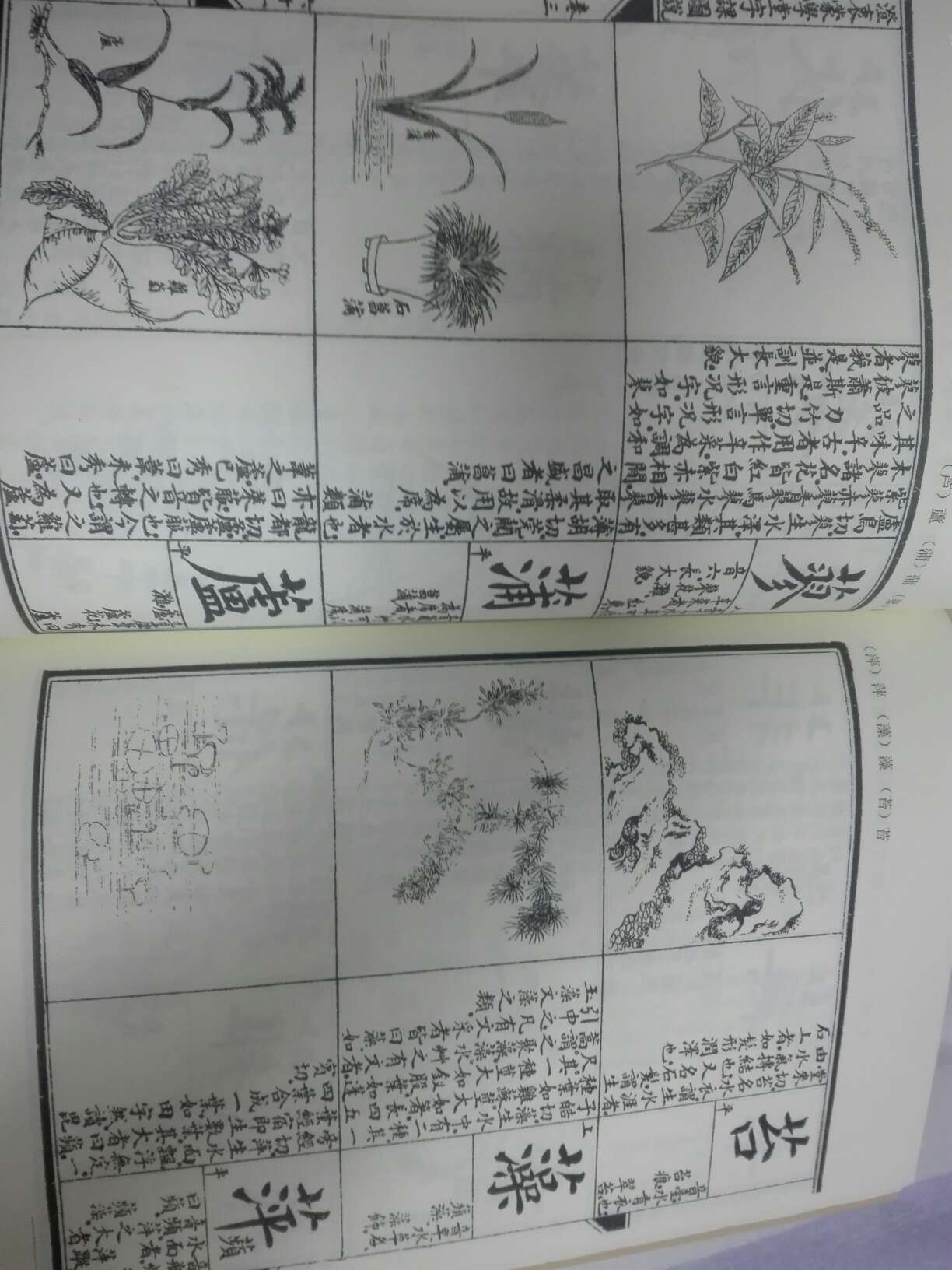 书内容很好，适合教小学生用。图片清晰度略欠，但比现在电脑宋体字版好太多了。