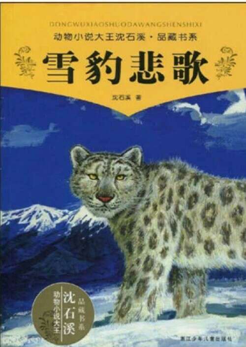 豹是跑得很快的动物，来看看这本书又讲了一个什么故事