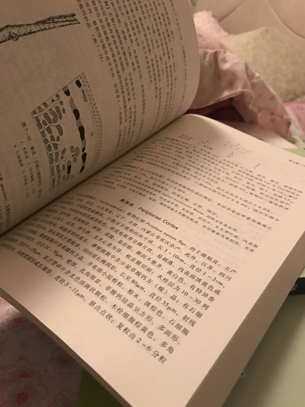 可以的、是正版、很不错、速度快