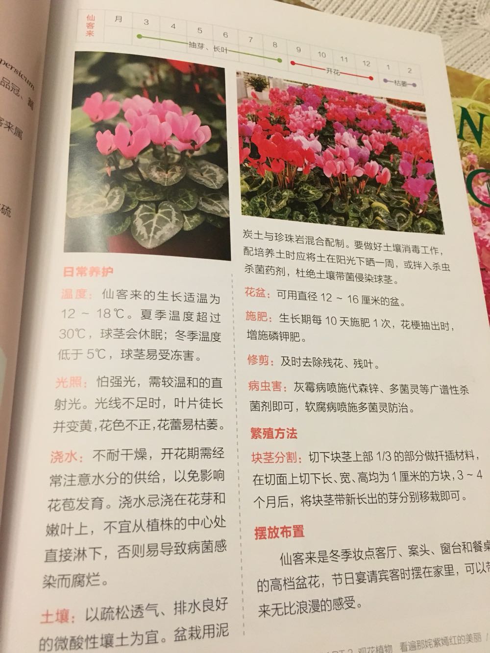 很实用的一本参考书，一般常见的花卉都有了，可以作为新手入门款。彩色印刷很精美