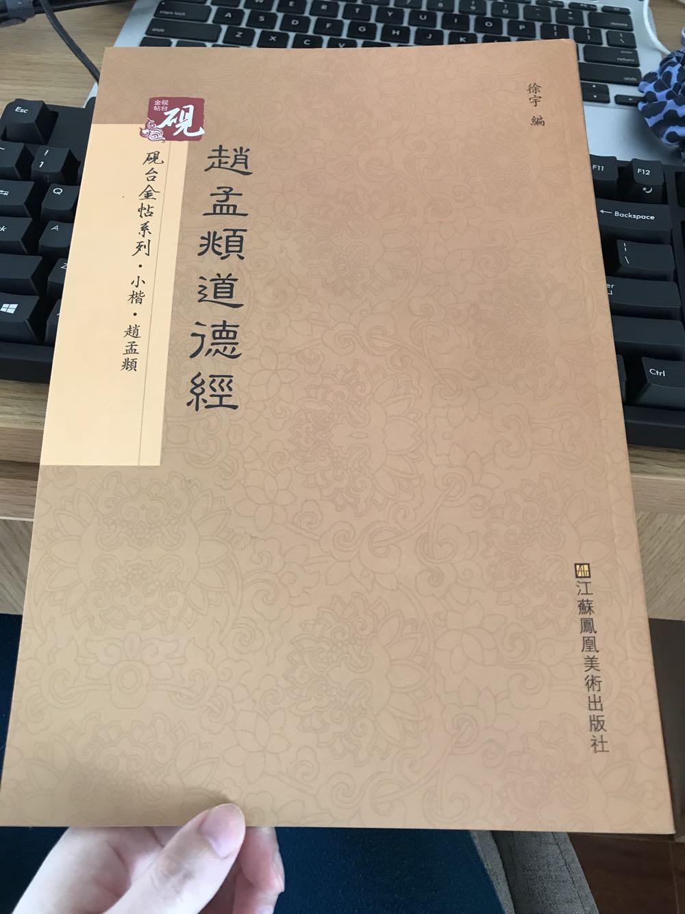 感觉很棒！有笔画写法解析，有原文印刷，很全！字体很漂亮！