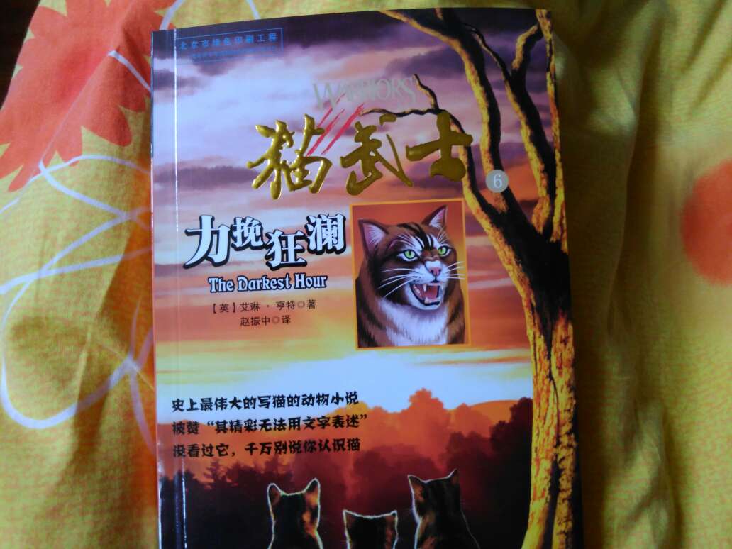 猫武士，第一套系列丛书，孩子非常喜欢看，故事情节，引人入胜，看完之后会继续买第二套。