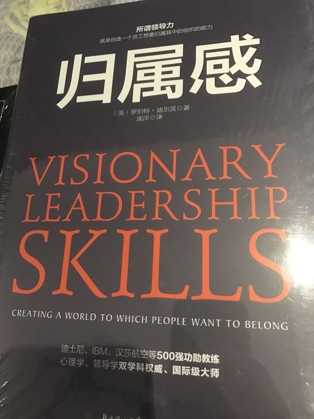 也是关于领导力的书，给团队创造一个氛围，