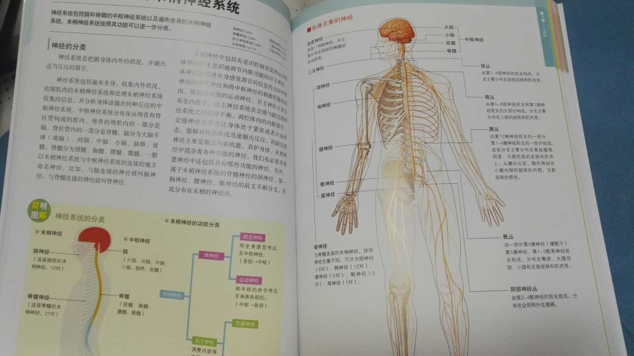 简直超过我的预期，简直太值了，图片特别直观，引人入胜。