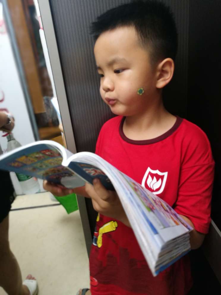 小侄子很喜欢，还是他要求买的，不错，小朋友的时候多看看这些书籍，长大可以直接去当地感受！