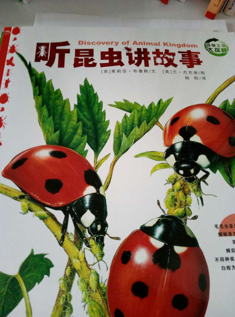 东西很好，快递小哥送货快，服务好，赞。