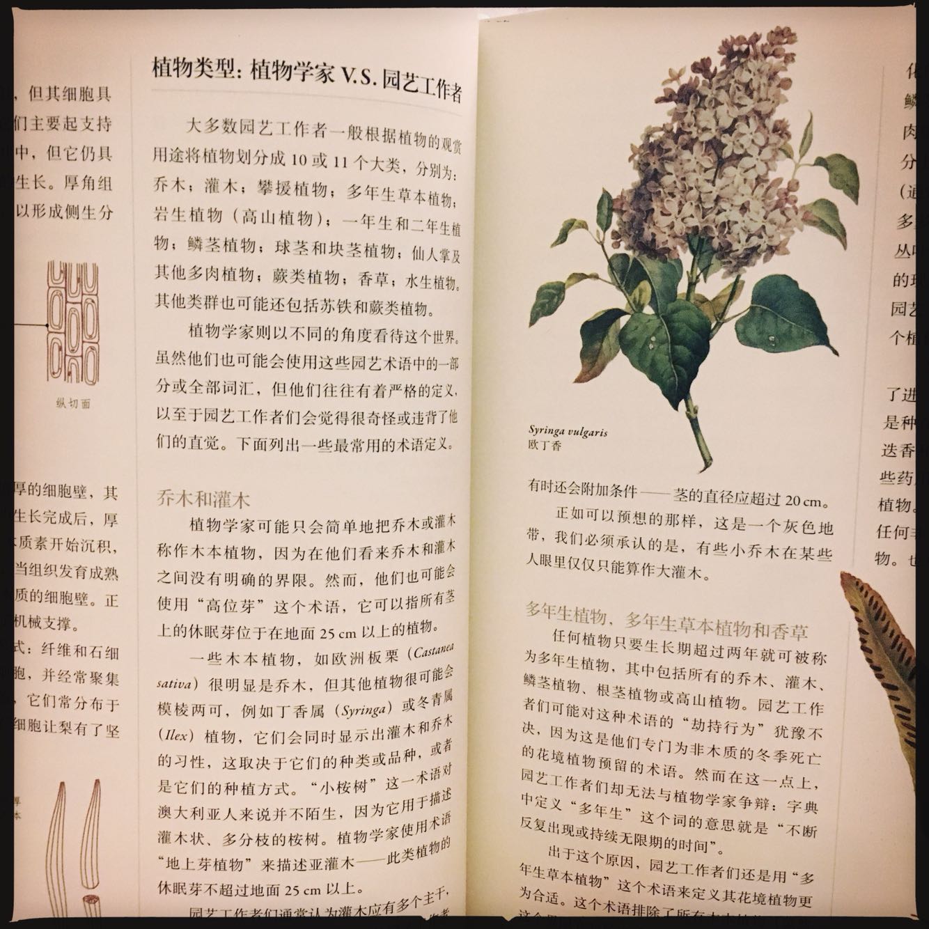 从园艺圈的视角解释植物学，很好读的一本植物学入门书，插图也漂亮。园艺爱好者读起来应该尤其会心的，推荐。