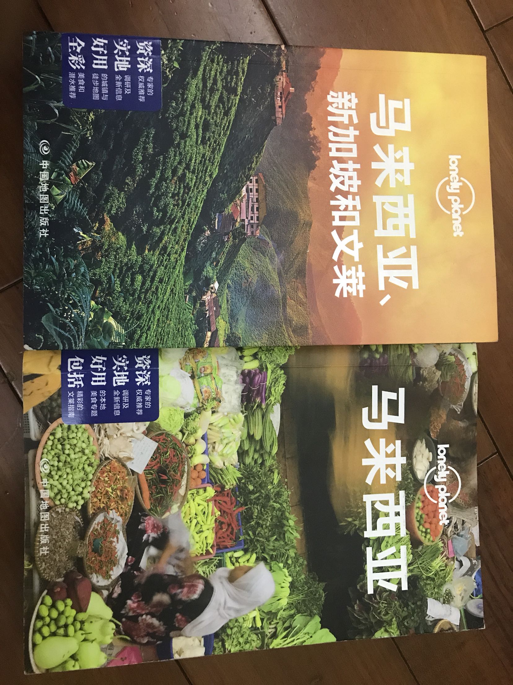 孤独星球系列，出行前的必备品。