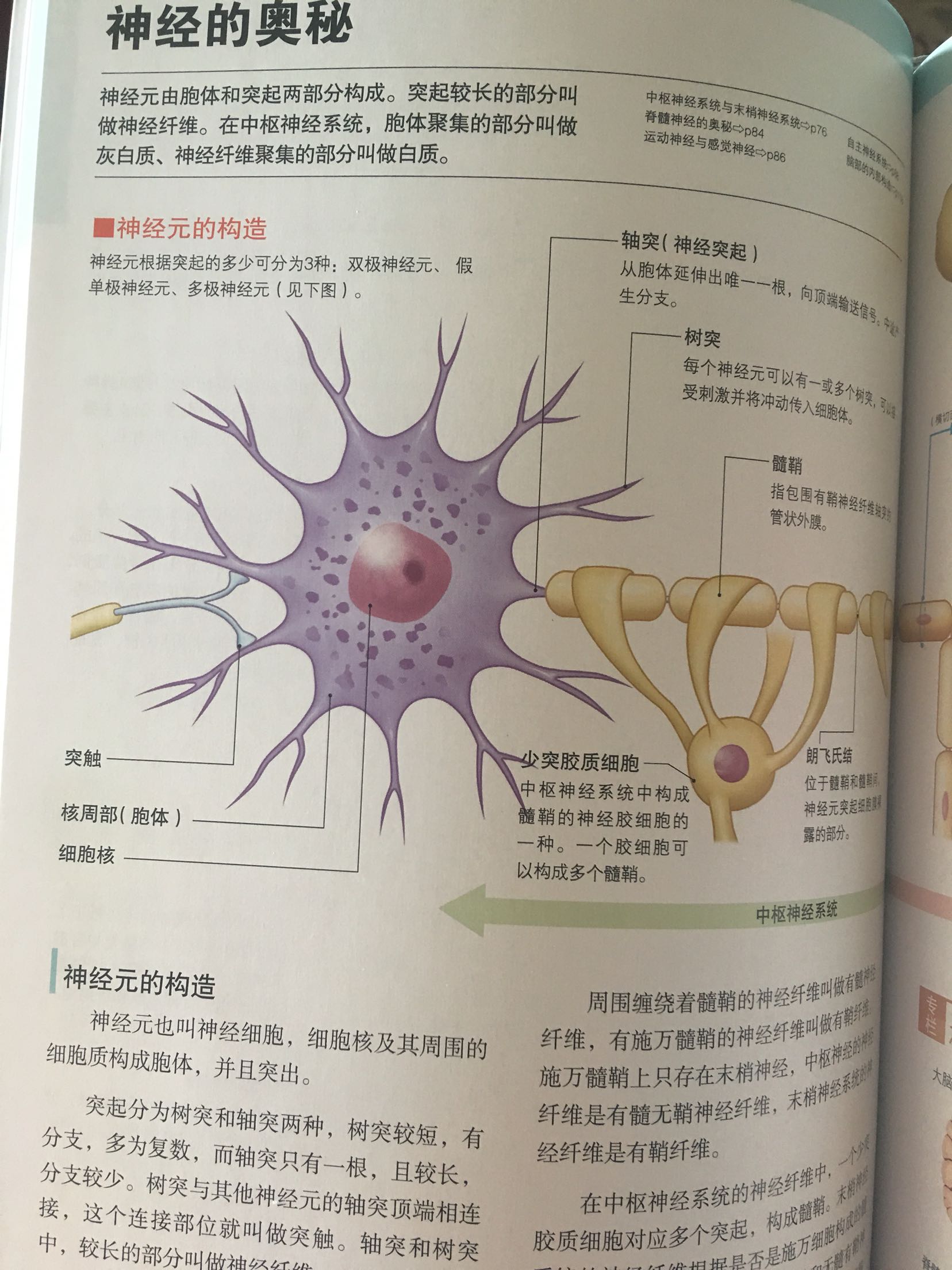 很好，用来凑单的，质量很不错，我这种小白简单科普学习下够了