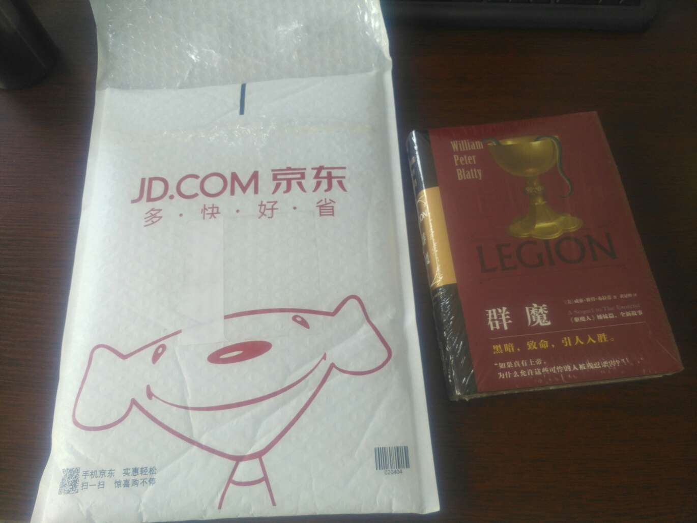 最喜欢这类小说，买了驱魔人，再看看这本。