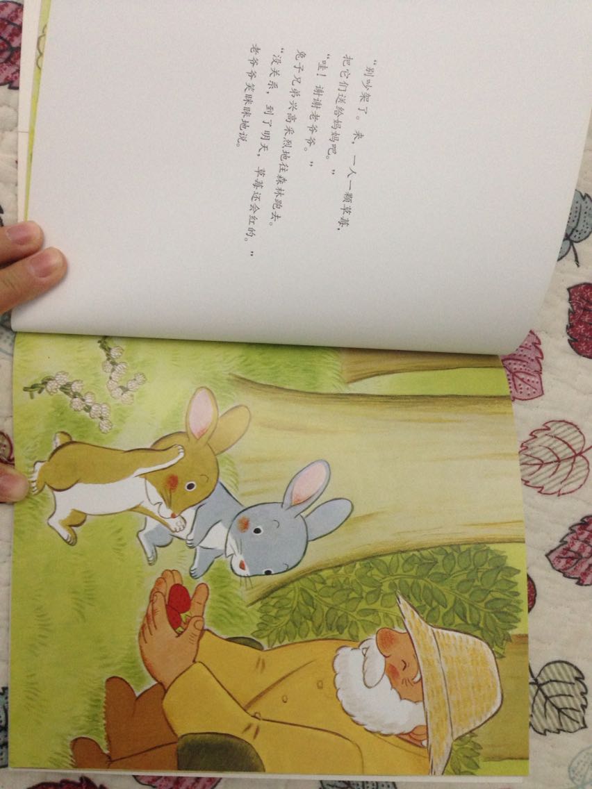 很暖心的一本书，两岁的孩子很喜欢看，故事情节简单，看了几天，已经可以自己简单的讲一遍了，很好，喜欢这种平装书，不重