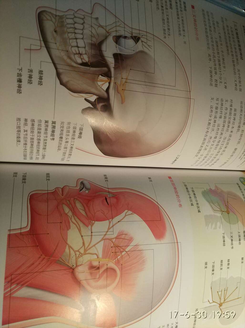 这本书的印刷和纸张很好，了解一下人体的构造很有必要啊。虽然有些画面有些惊悚，但是看透那层皮囊，又有什么能迷惑我们呢