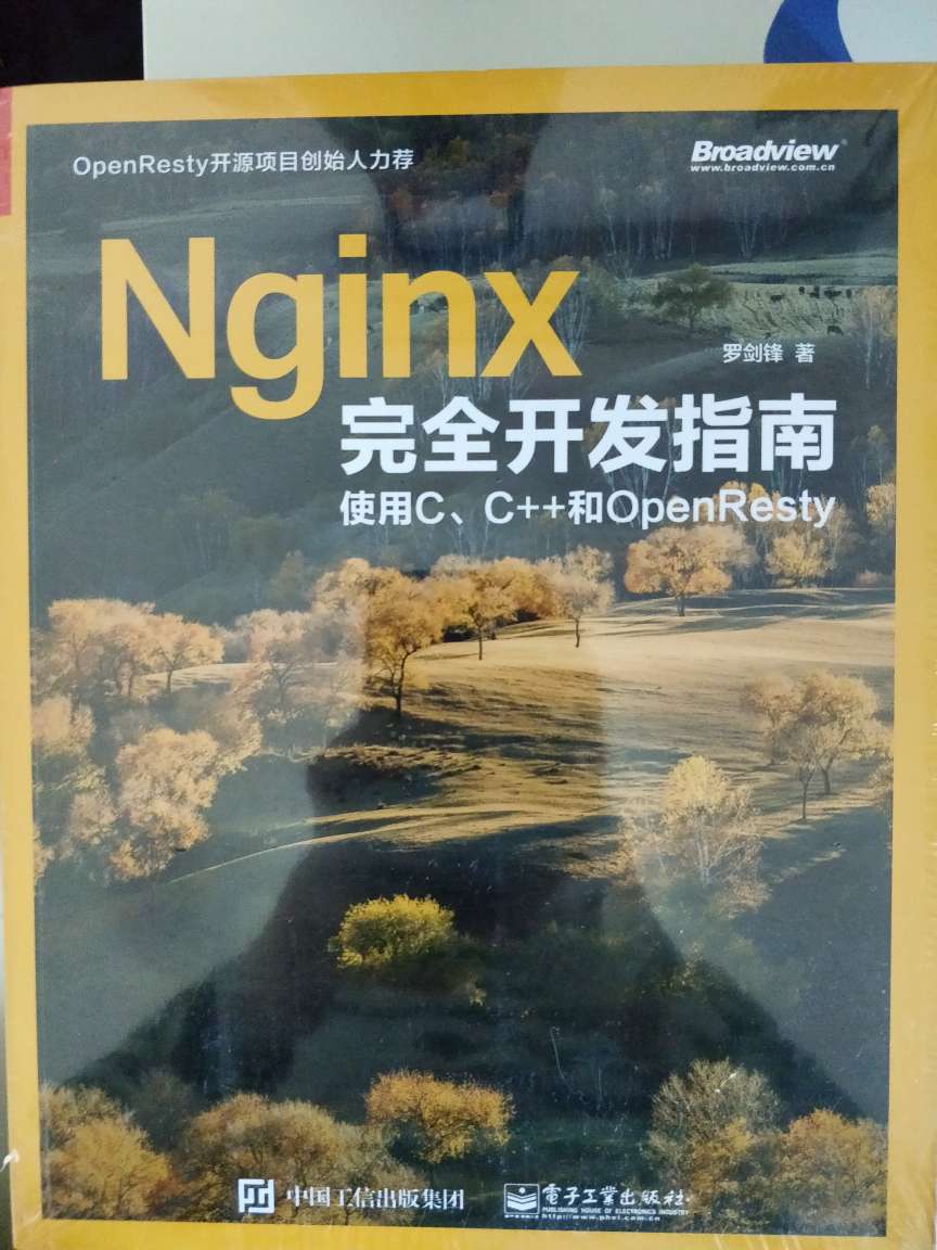 nginx新版的开发指南，支持自定义协议，小组推荐之。