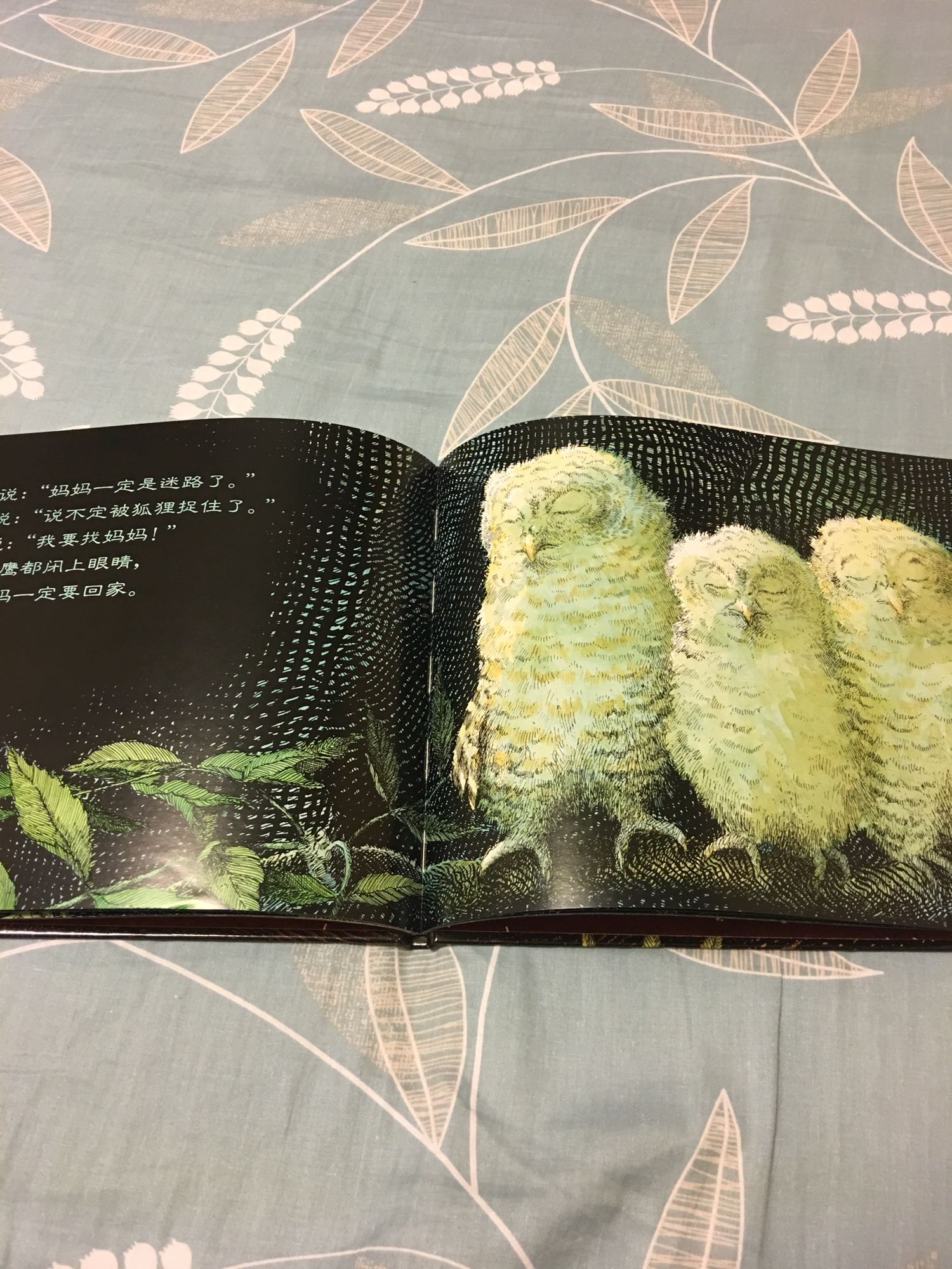 一本温馨感人的绘本，宝宝喜欢，三只猫头鹰的名字都能记得。