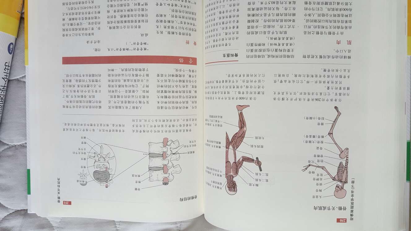 太厚了，不知道多长时间才能看完。但值得推荐，可以买两本慢慢研究