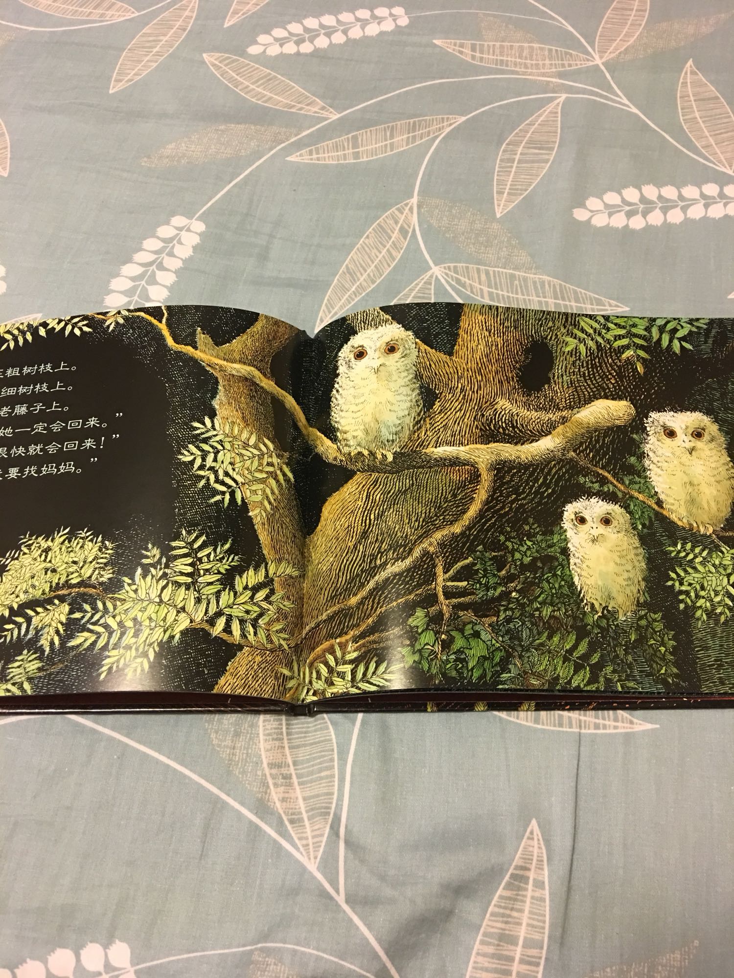 一本温馨感人的绘本，宝宝喜欢，三只猫头鹰的名字都能记得。