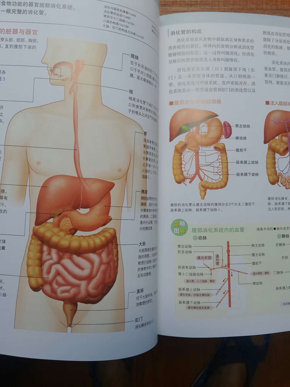 图书做活动买的，真的很实惠，买了很多回来，这本解剖图质量很不错，内容也很好，推荐购买