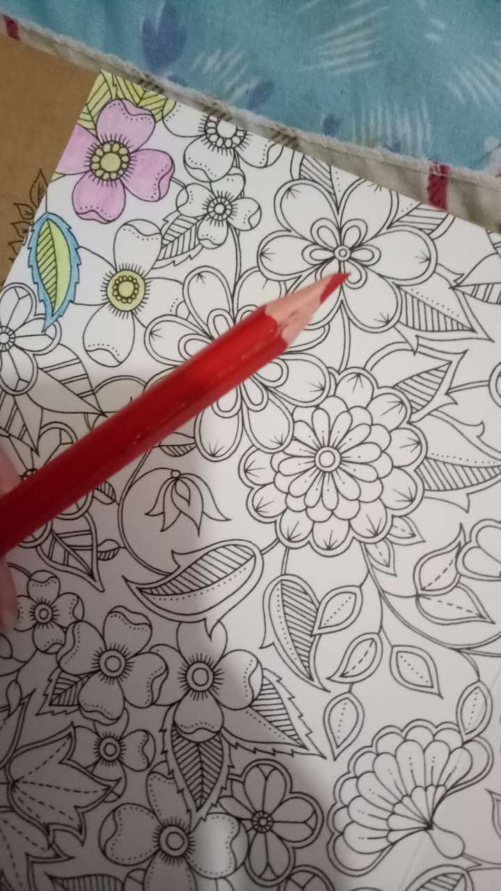 质量不好，铅笔都裂了。上色不好。。
