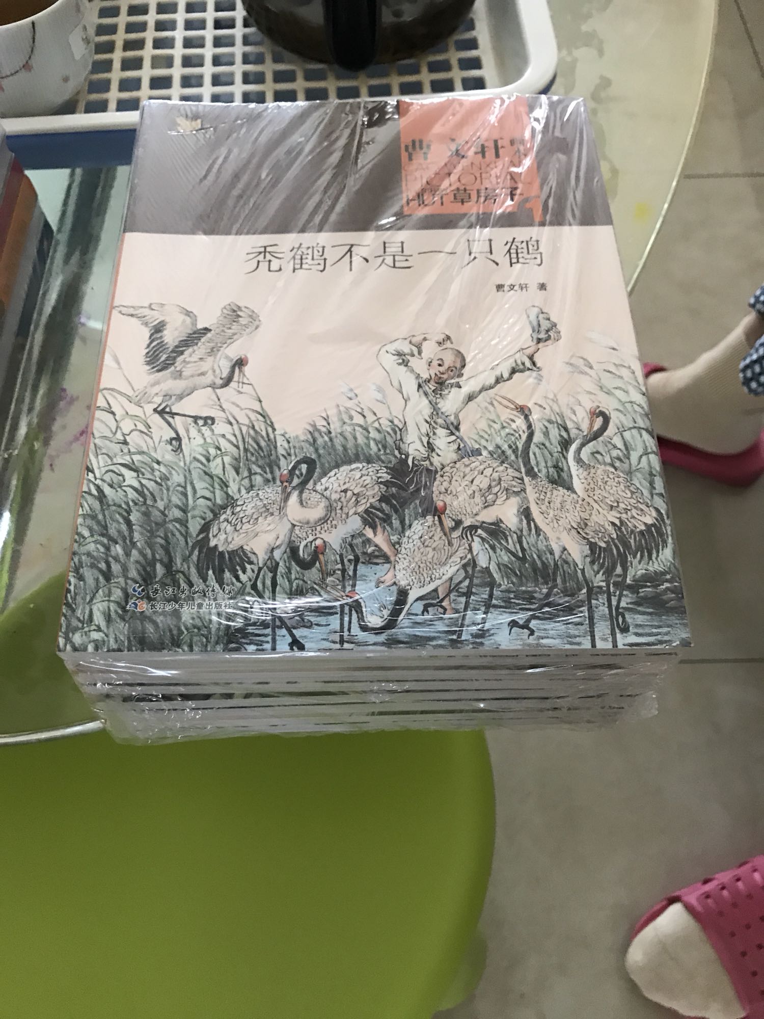 书不错，孩子暑假走得看了。