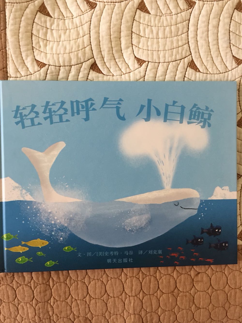 文字很简单 画面很好看 孩子喜欢鱼喜欢海很喜欢这本书 买书划算送货快