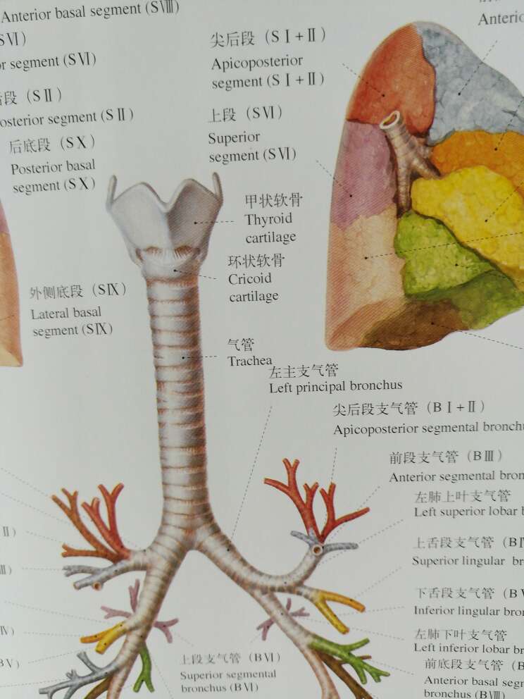 此用户未填写评价内容