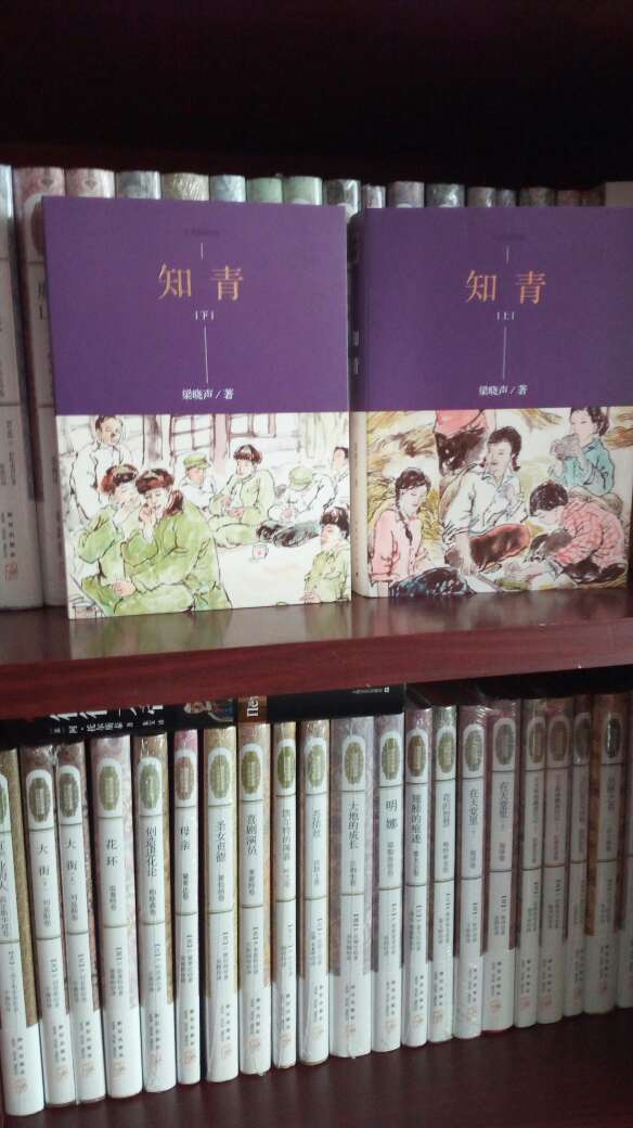 知青小说系列老版本基本都买了，觉得有彩墨插图的带着传统墨香——故／又买了?