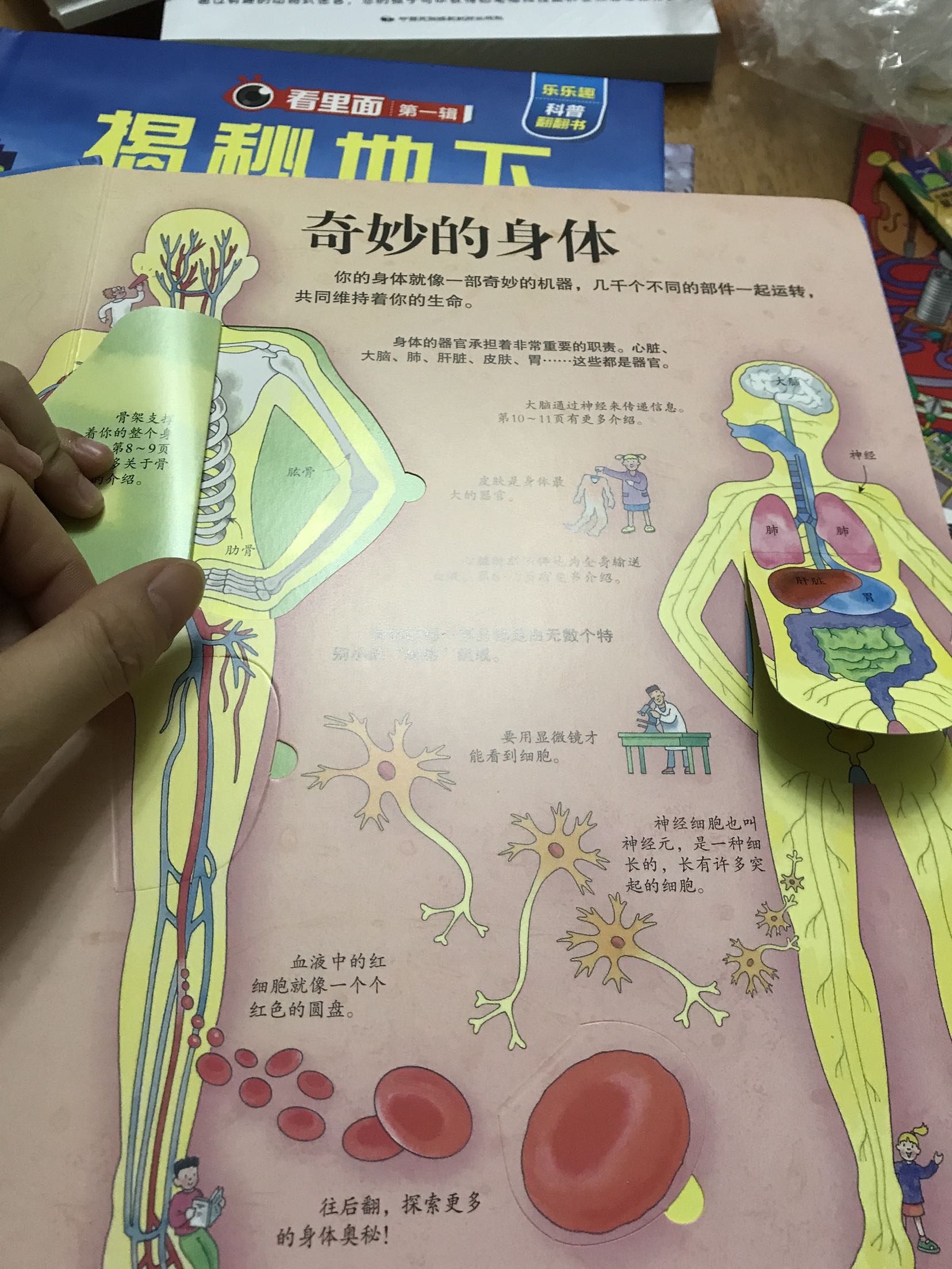 不错不错，可以让孩子自己去了解……