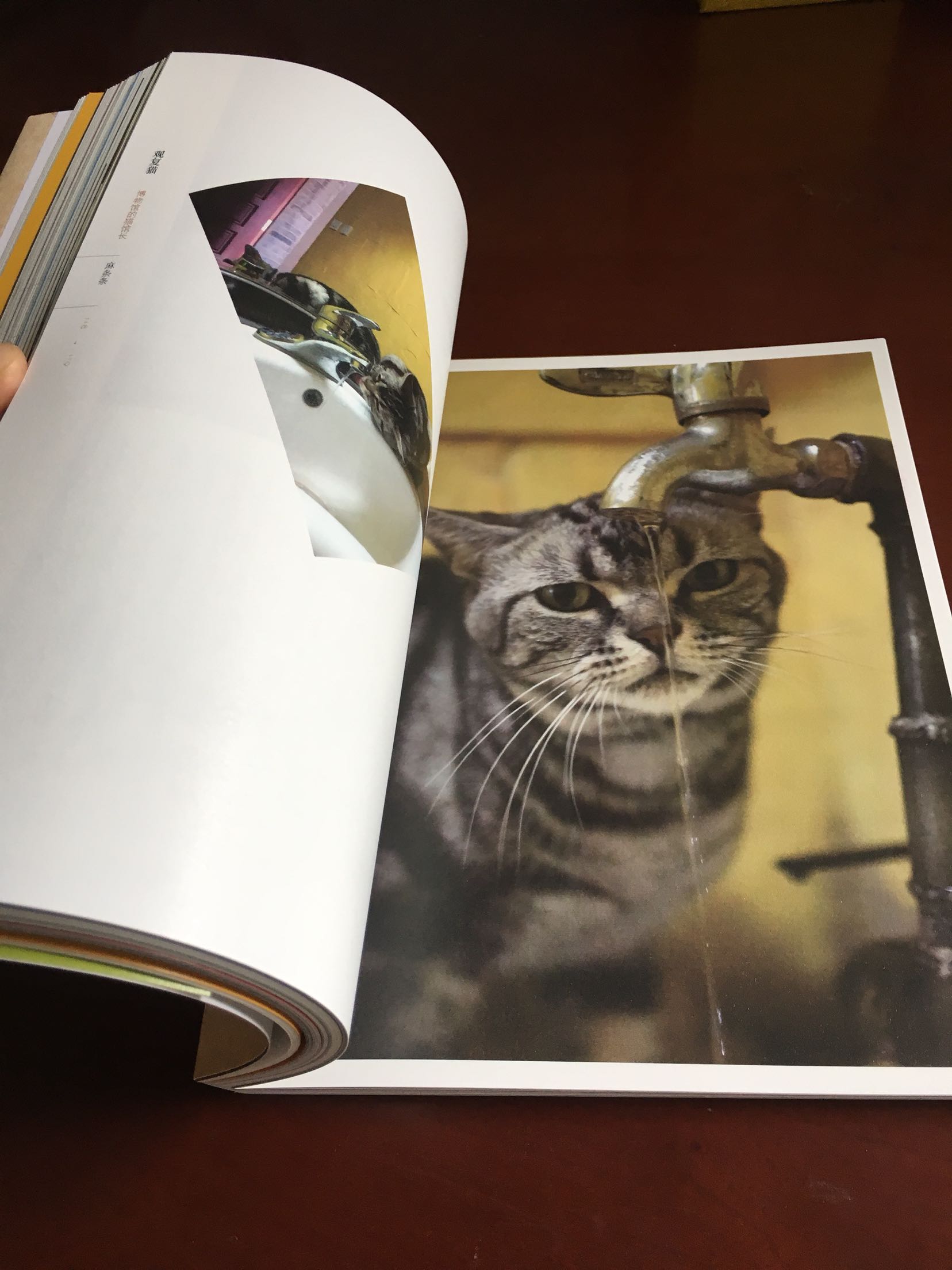 一直对观复博物馆里的猫咪感兴趣，通过这本书更喜欢了，书本纸张质量很好，很满意！