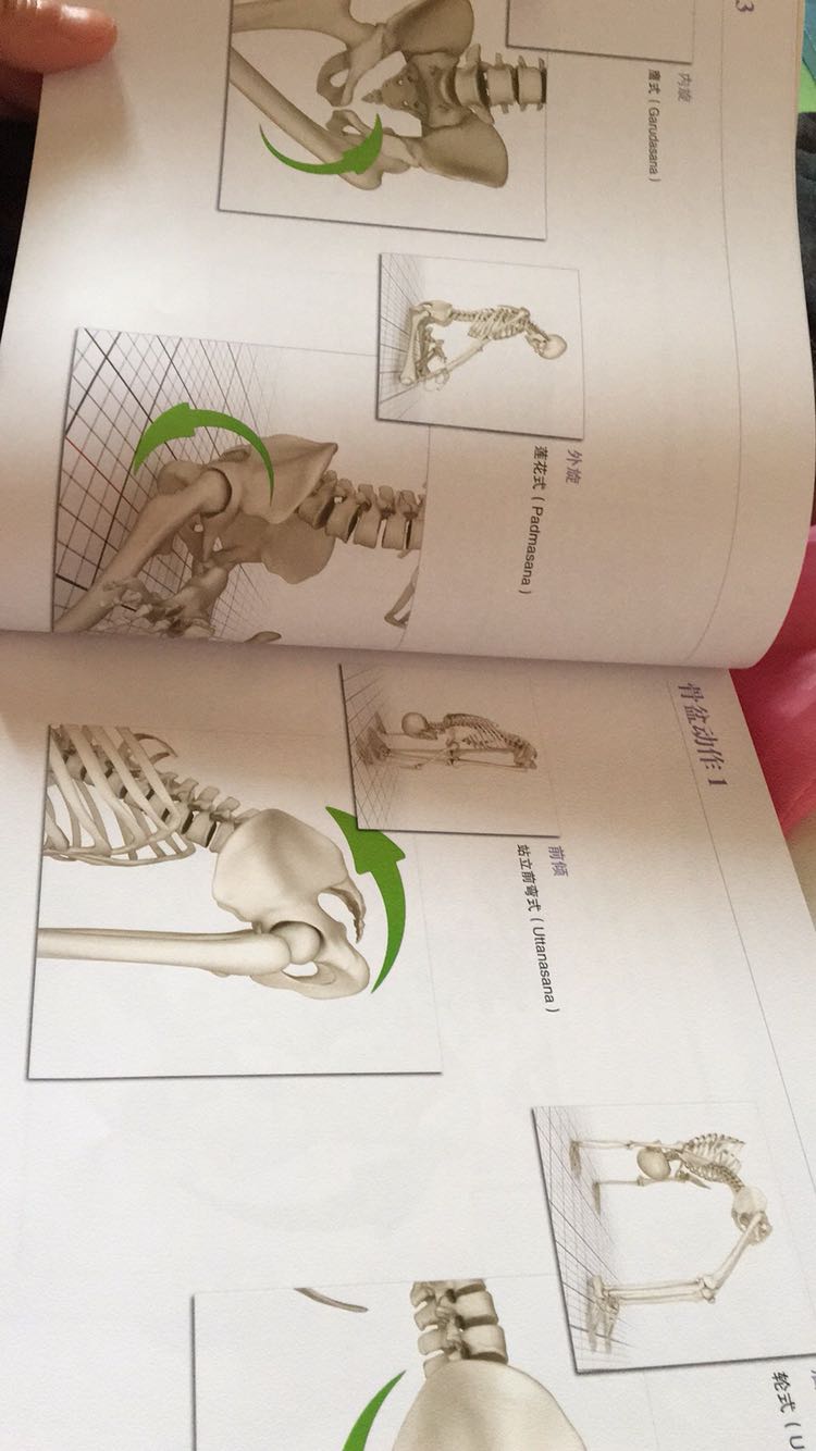 非常好的书，推荐给练瑜伽的朋友，骨骼肌肉分析很详细，值得购买…