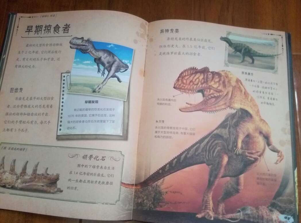 儿子喜欢恐龙都快痴迷了，看到这本书，非让我买，话说，四岁的娃能看明白么……