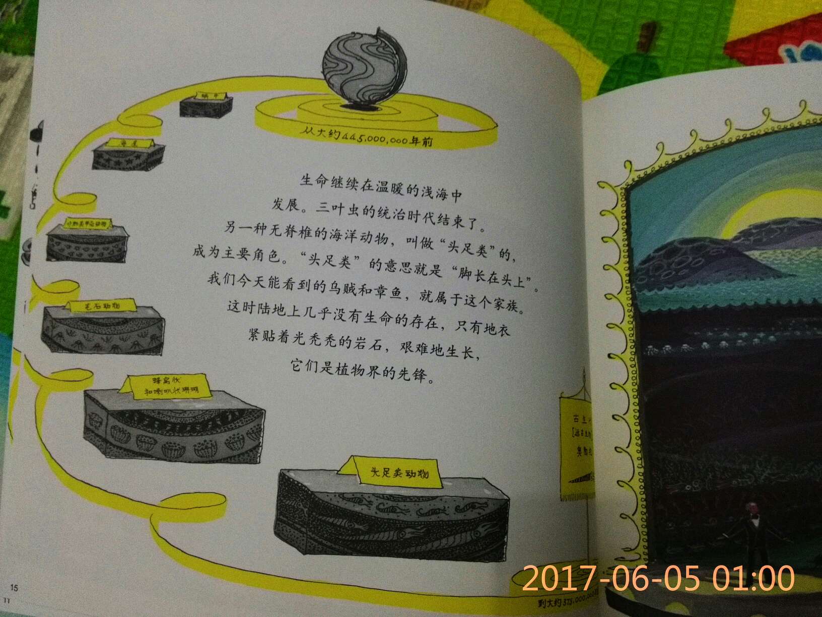 小房子的作者的又一力作！超级棒，先囤着，适合大点的孩子，这个作者的书几本收集齐了，很开心！ 虽然是618，订单量猛增，但是一点也没影响发货物流的速度，依然飞快，小哥素质依然高大上，感恩的好活动，感恩所有工作人员的辛勤付出，支持！