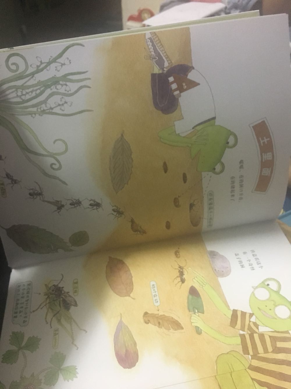 很不错的一本自然书，让孩子认识昆虫，平时看到都会很喜欢。
