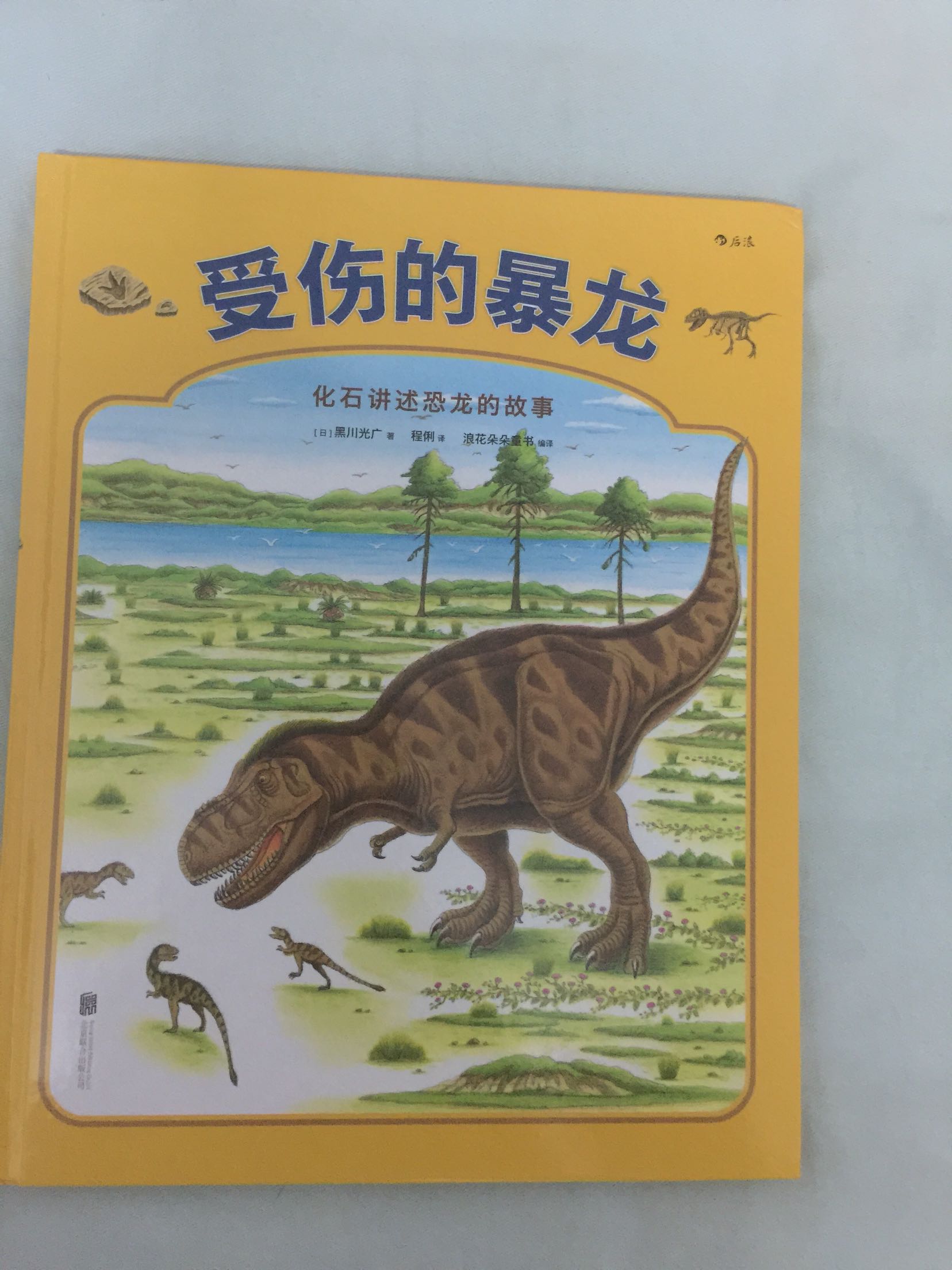 终于买到了，恐龙大陆是孩子最喜欢的书，这个也一定会喜欢！