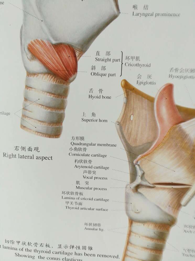 此用户未填写评价内容