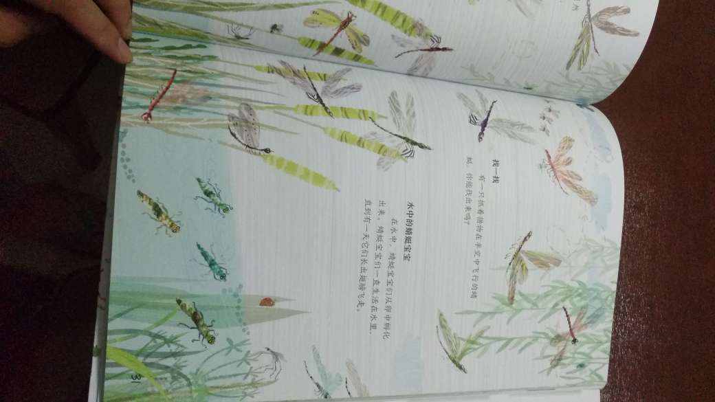 色彩搭配很和谐，绘画也比较自然随意，每两页介绍一种虫子