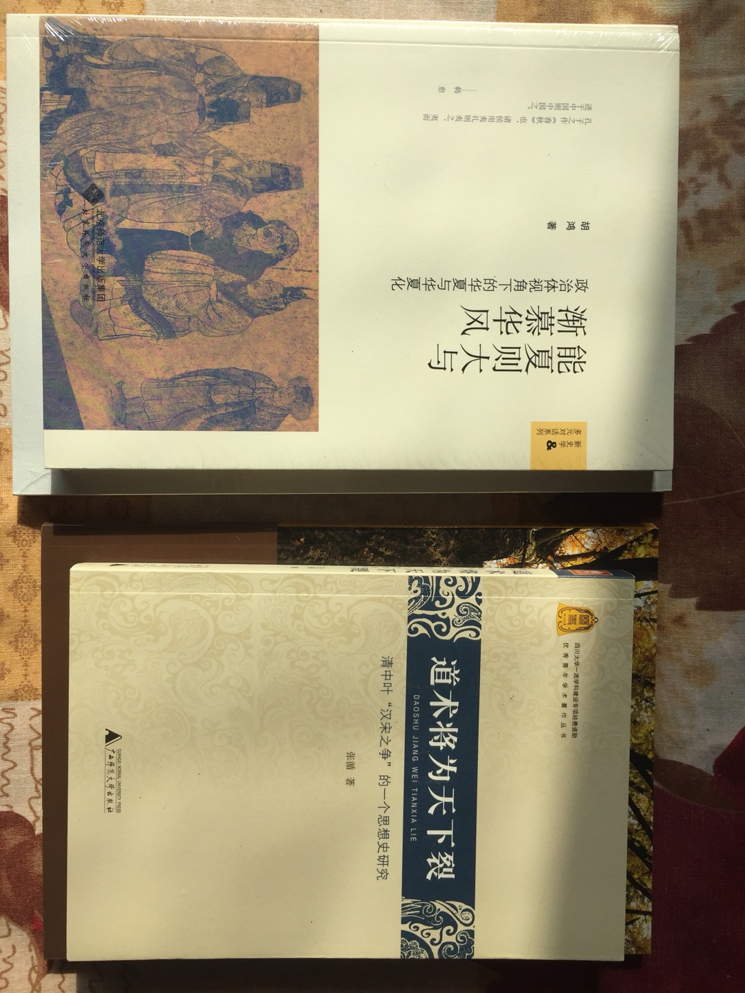 川大张循老师的博士论文，十年磨一剑才出版，内容十分精彩