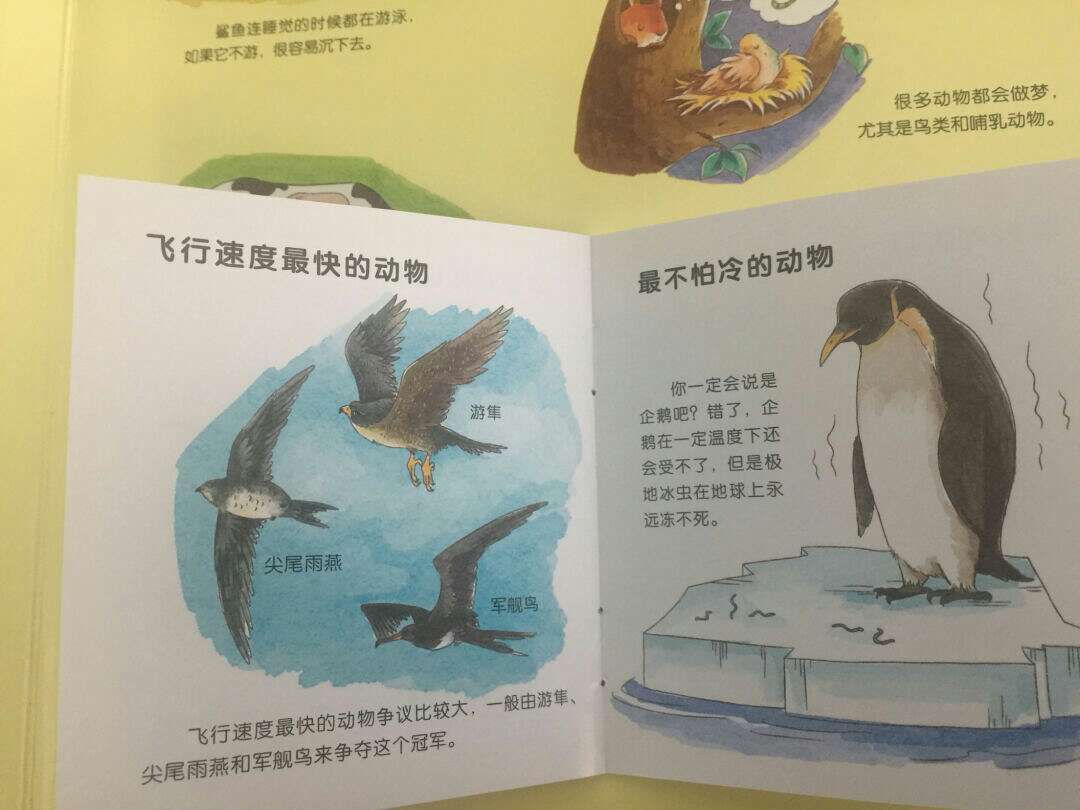 设计很巧妙，小孩可以翻开学东西。