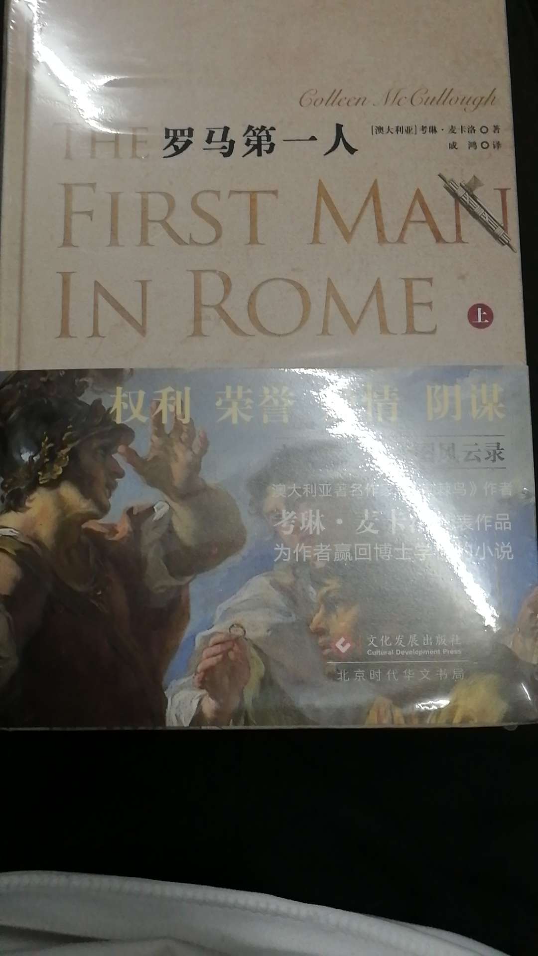 在关于罗马共和国的小说中，这本书算是出类拔萃的。