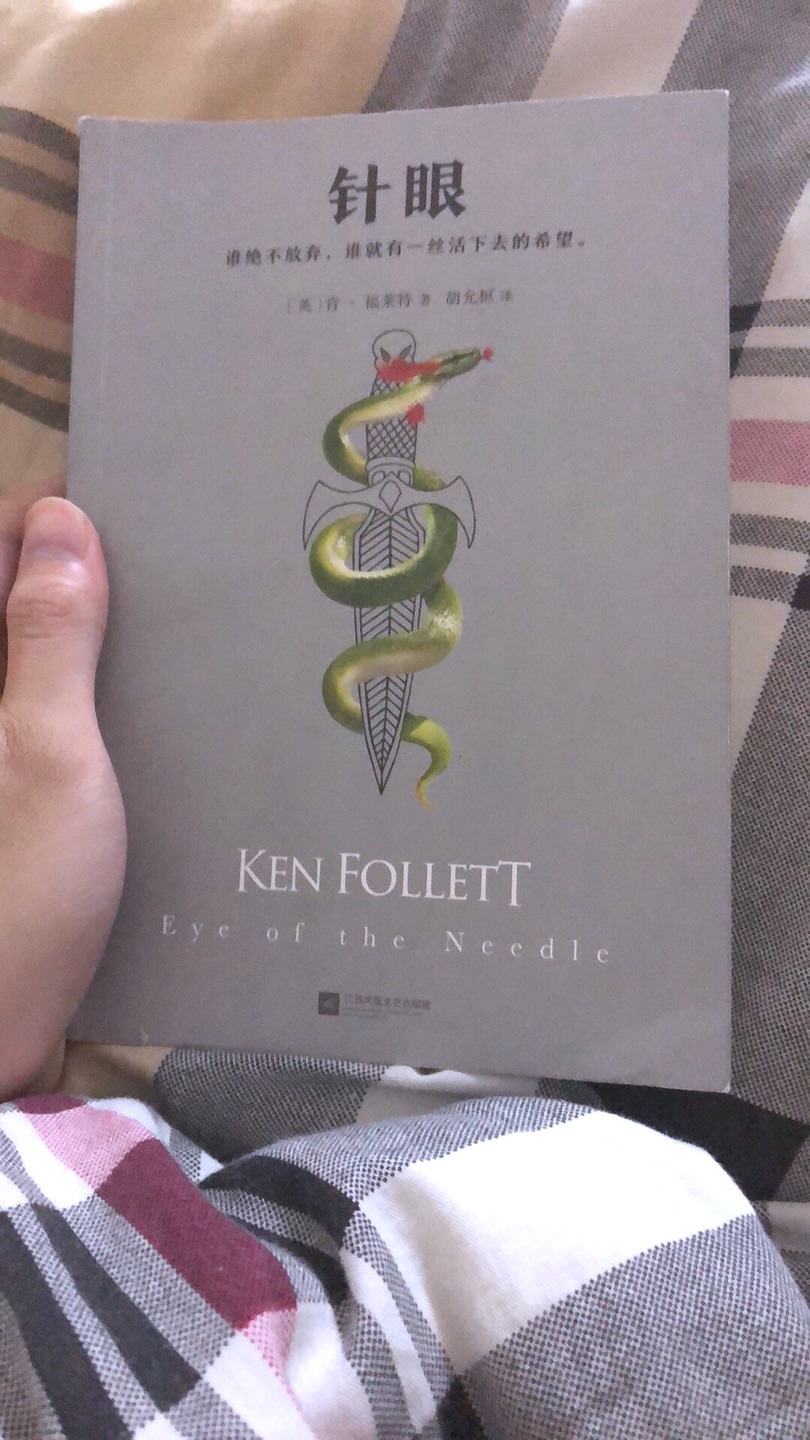 完美的睡前读物，肯福莱特的畅销书。