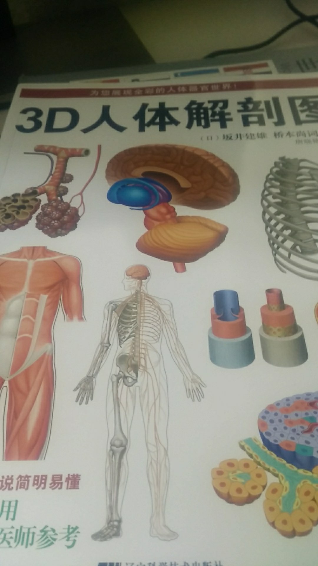 很厚的图册 方便了解人身体的各种构造