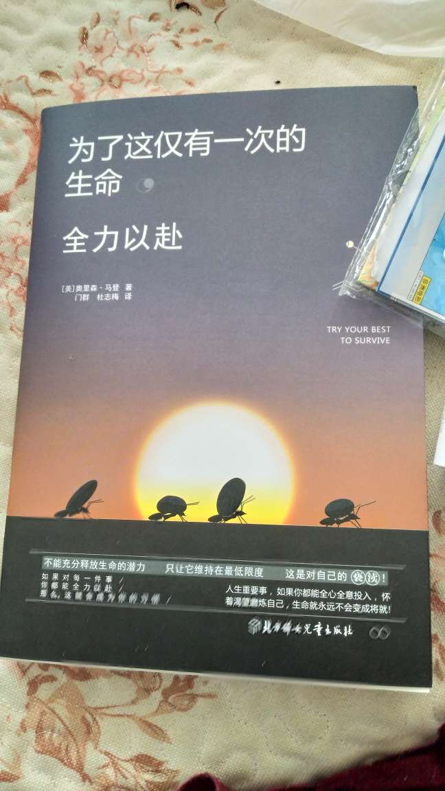 很好的励志作品，适合当今中国时代阅读学习！
