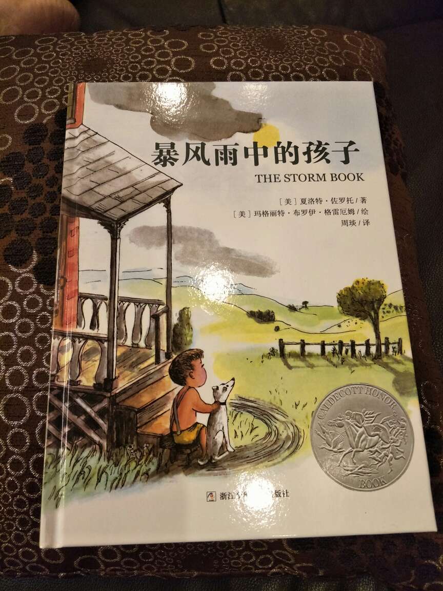 是一篇短篇小说，外国作品总是有很详细的细节描写。两页纯文字，两页大开图，图很精美。只是不知道这种书会不会吸引孩子。