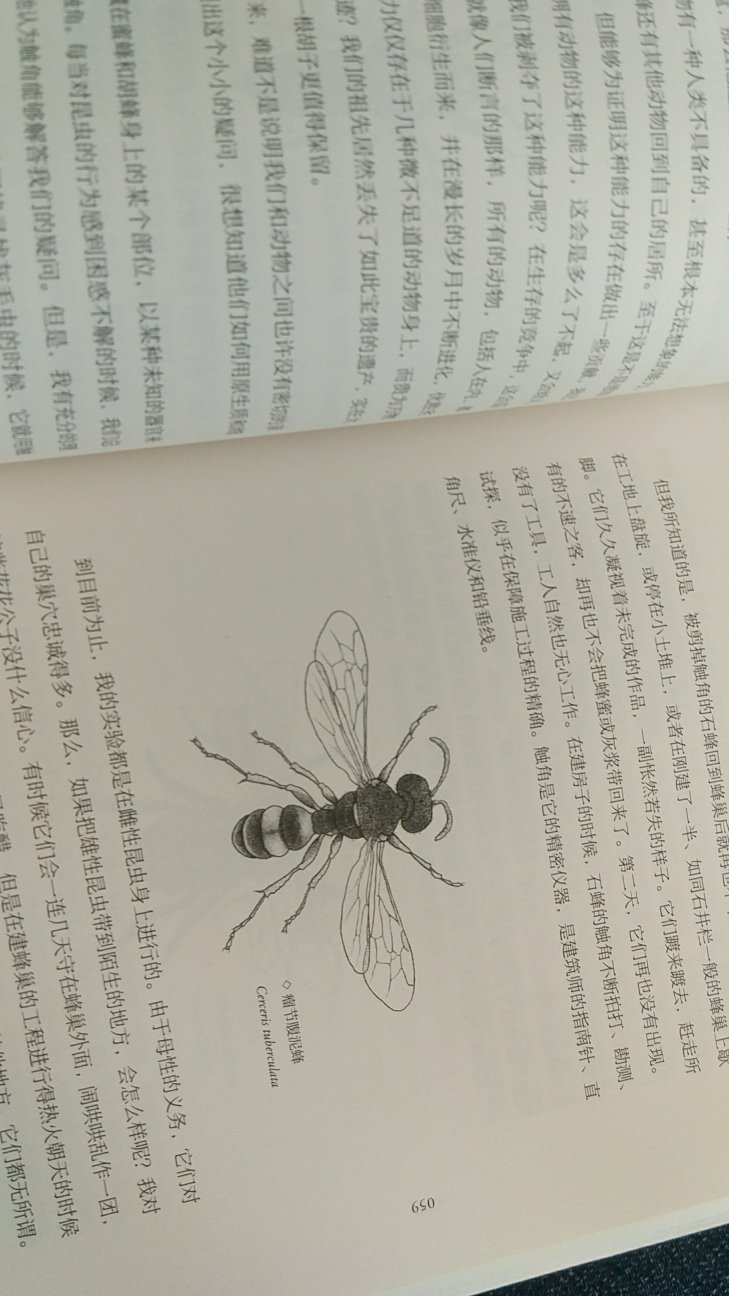 希望这个版本的昆虫记好看好读。。
