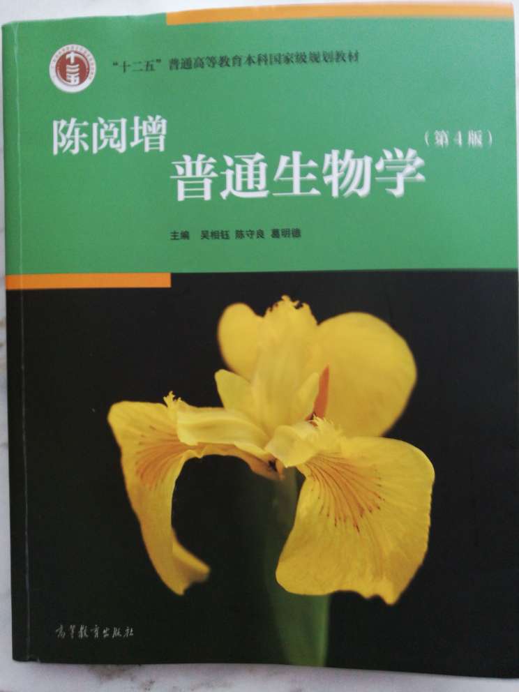 厉害了昂，错别字，但是凑合能看，就这吧